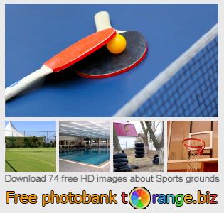 images free photo bank tOrange offers free photos from the section:  sports-grounds