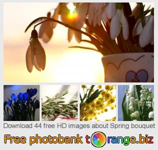 images free photo bank tOrange offers free photos from the section:  spring-bouquet