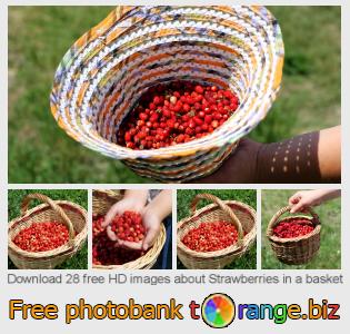 images free photo bank tOrange offers free photos from the section:  strawberries-basket