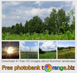 images free photo bank tOrange offers free photos from the section:  summer-landscape