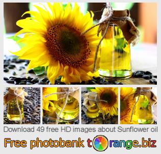 images free photo bank tOrange offers free photos from the section:  sunflower-oil