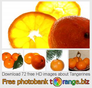 images free photo bank tOrange offers free photos from the section:  tangerines