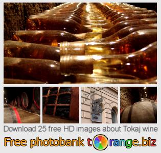 images free photo bank tOrange offers free photos from the section:  tokaj-wine