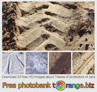 images free photo bank tOrange offers free photos from the section:  traces-protectors-cars