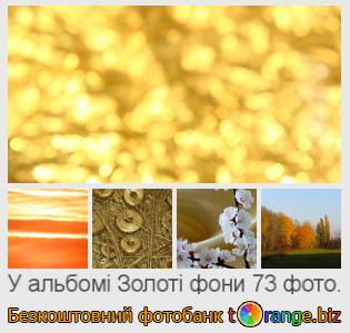 Фотобанк tOrange пропонує безкоштовні фото з розділу:  золоті-фони