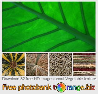 images free photo bank tOrange offers free photos from the section:  vegetable-texture