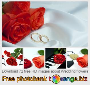 images free photo bank tOrange offers free photos from the section:  wedding-flowers
