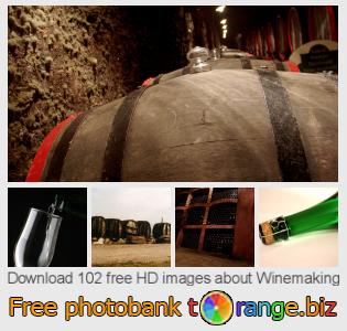 images free photo bank tOrange offers free photos from the section:  winemaking