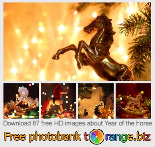 images free photo bank tOrange offers free photos from the section:  year-horse