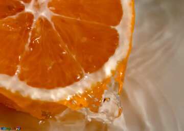 FX №1830 Orange color. Vitamins.