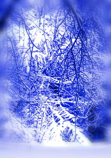 FX №123890 Blue winter snowy forest landscape
