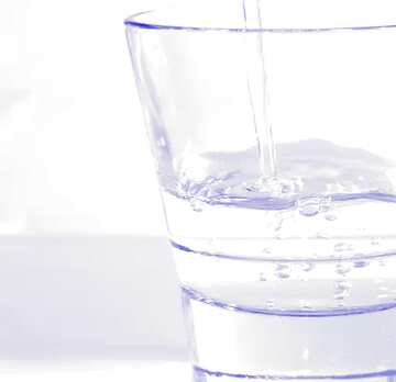FX №132263 cup of water
