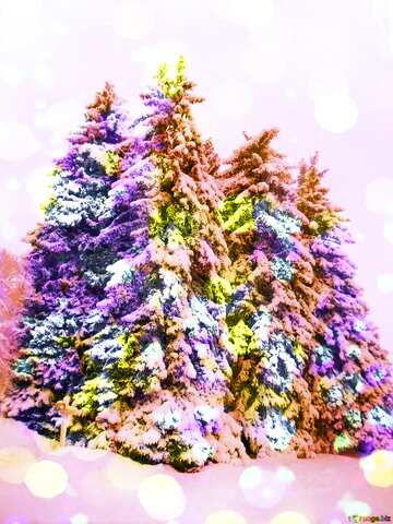 FX №139311 Colorful snow pine tree