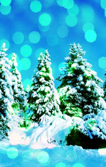 FX №140781 Christmas Tree sun Snow bokeh background