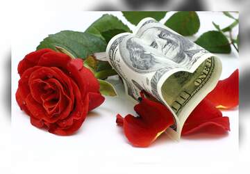 FX №16117  flowers heart money