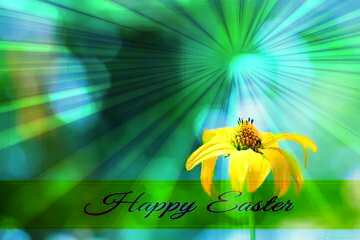 FX №169687 Flower on desktop Inscription Happy Easter on Background with Rays of sunlight