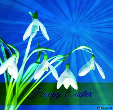 FX №169627 Free clip art flowers Inscription Happy Easter on Background with Rays of sunlight