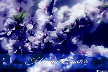 FX №169489 Spring pictures on wallpaper for desktop Blue card with Inscription Happy Easter