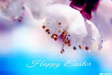 FX №169591 Spring wallpaper Blue card with Inscription Happy Easter
