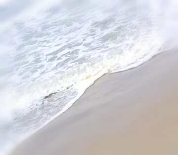 FX №17616 Image for profile picture Beach sand.