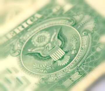 FX №17769 Image for profile picture Dollar.