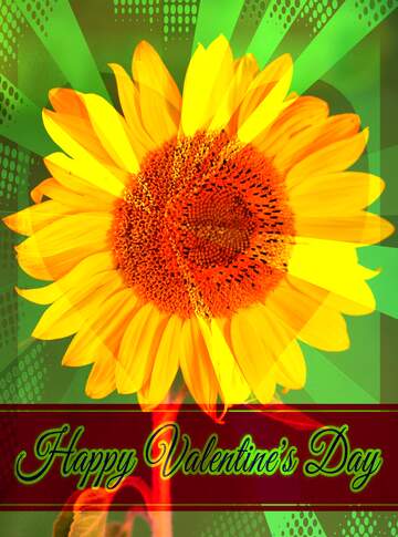 FX №170495 Sunflower on green background Greeting card retro style background Lettering Happy Valentine`s Day