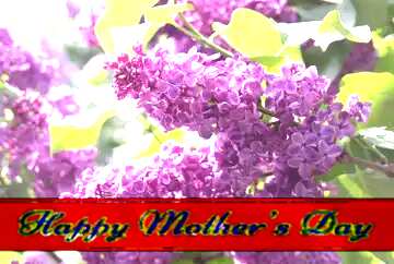 FX №174232 Lilac branch on card with Lettering Happy Mothers Day