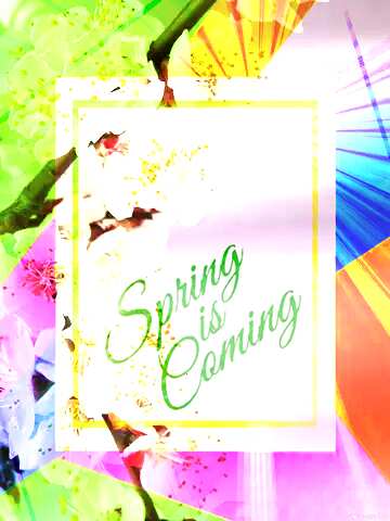 FX №174832 The tree blooms in spring Colorful illustration template frame with Rays of sunlight and Lettering...
