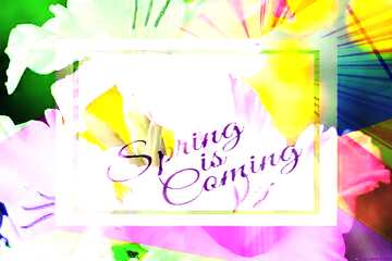 FX №175314 Beautiful flowers for congratulations template card frame with inscription Spring is Coming