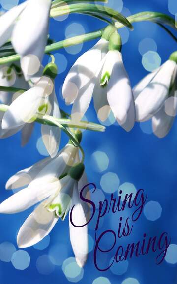 FX №175859 Early spring background Spring is coming