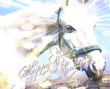FX №176036 Happy Easter card background with White Horse