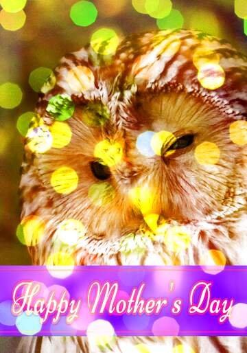 FX №176631 Owl  with Pretty Lettering Happy Mothers Day