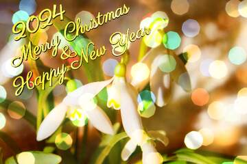 FX №176701 Pictures of early spring  Merry Christmas background 2024