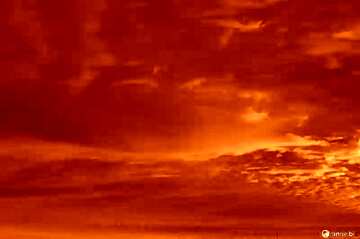 FX №176305 Red sunset sky
