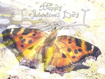 FX №177437 Butterfly card Happy Valentine`s day