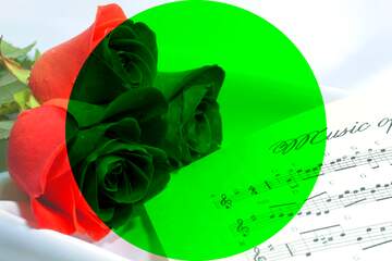 FX №177013 Card greetings music rose and notes blank template