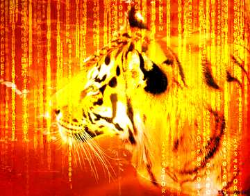 FX №177625  Digital Background orange Tiger