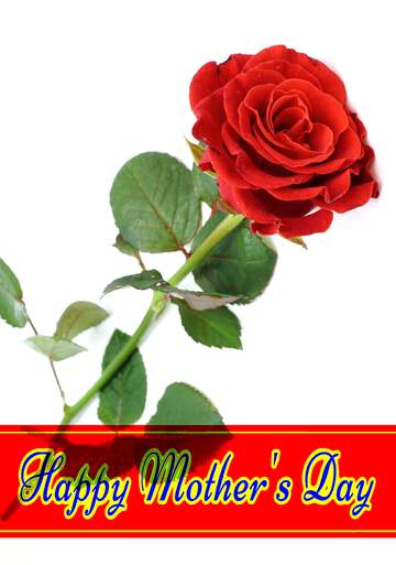 FX №177663  Happy Mothers Day With Rose