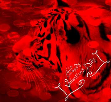 FX №177652 Happy Valentines Day Red Card with Tiger
