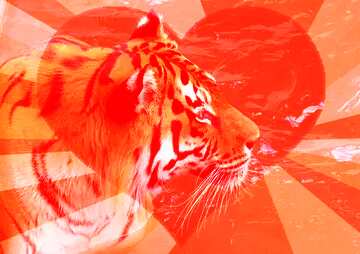 FX №177636  Heart Background With Tiger