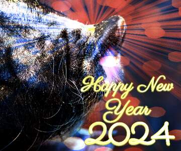 FX №179110 Happy New Year of pig 2024 card background