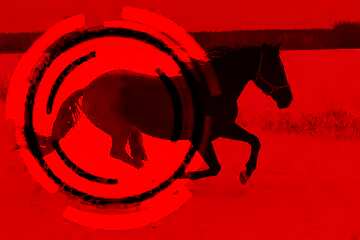 FX №179026  Horse red  Infographic Design Background