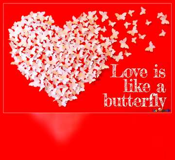 FX №179753  Love is like a butterfly. Blank Card Template