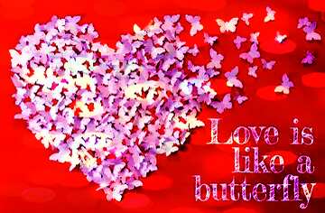 FX №179793 Love is like a butterfly Quote