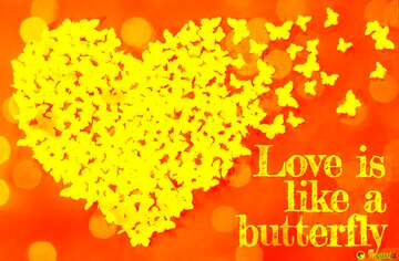 FX №179771 Orange card Love is like a butterfly.