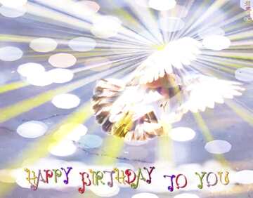 FX №179132  Pigeon flies Greeting Happy Birthday Card