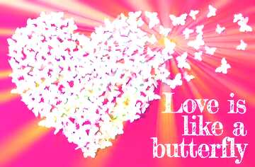FX №179768 Pink art card Love is like a butterfly.
