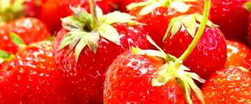 FX №18508 Cover. Strawberry picking season.