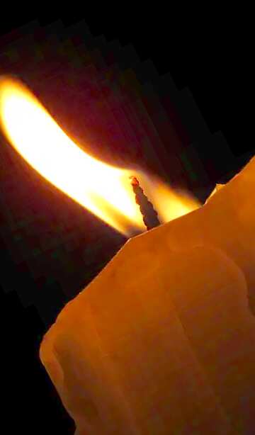 FX №18055 Image for profile picture Candle.