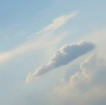 FX №18339 Image for profile picture Cumulus clouds in blue sky.